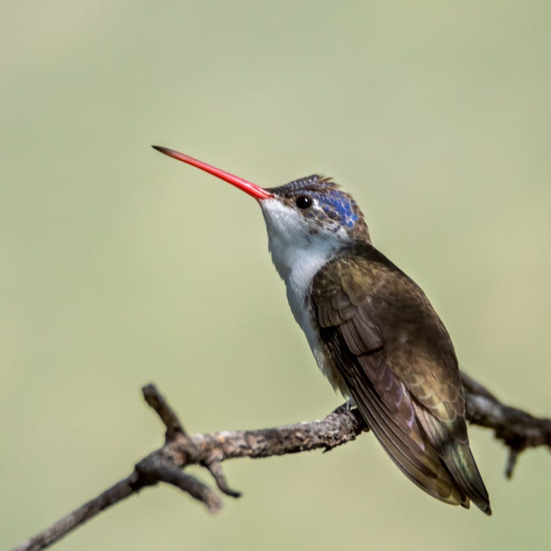 20260818-MillerCanyon-995-Edit.jpg