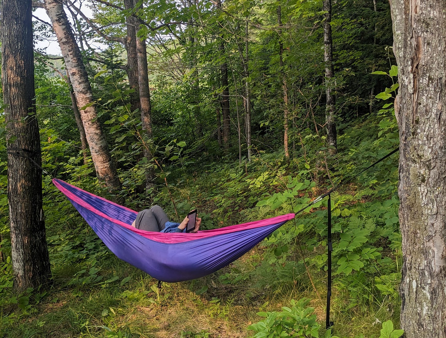 A colorful hammock is stretched between two trees in a forest. A person is reading a book in the hammock.