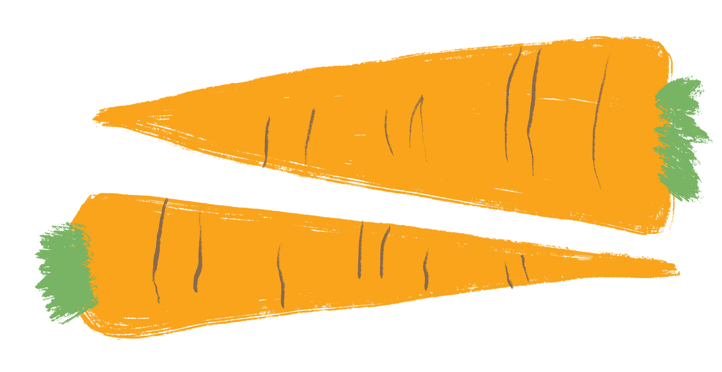 Illustration of two carrots. Illustrated by Tasha Goddard. 