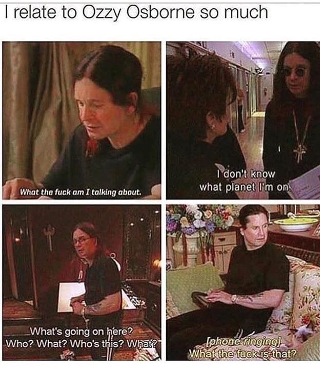 40+ Assorted Funny Memes To Keep You Busy | Really funny, Ozzy osbourne  quotes, Ozzy osbourne