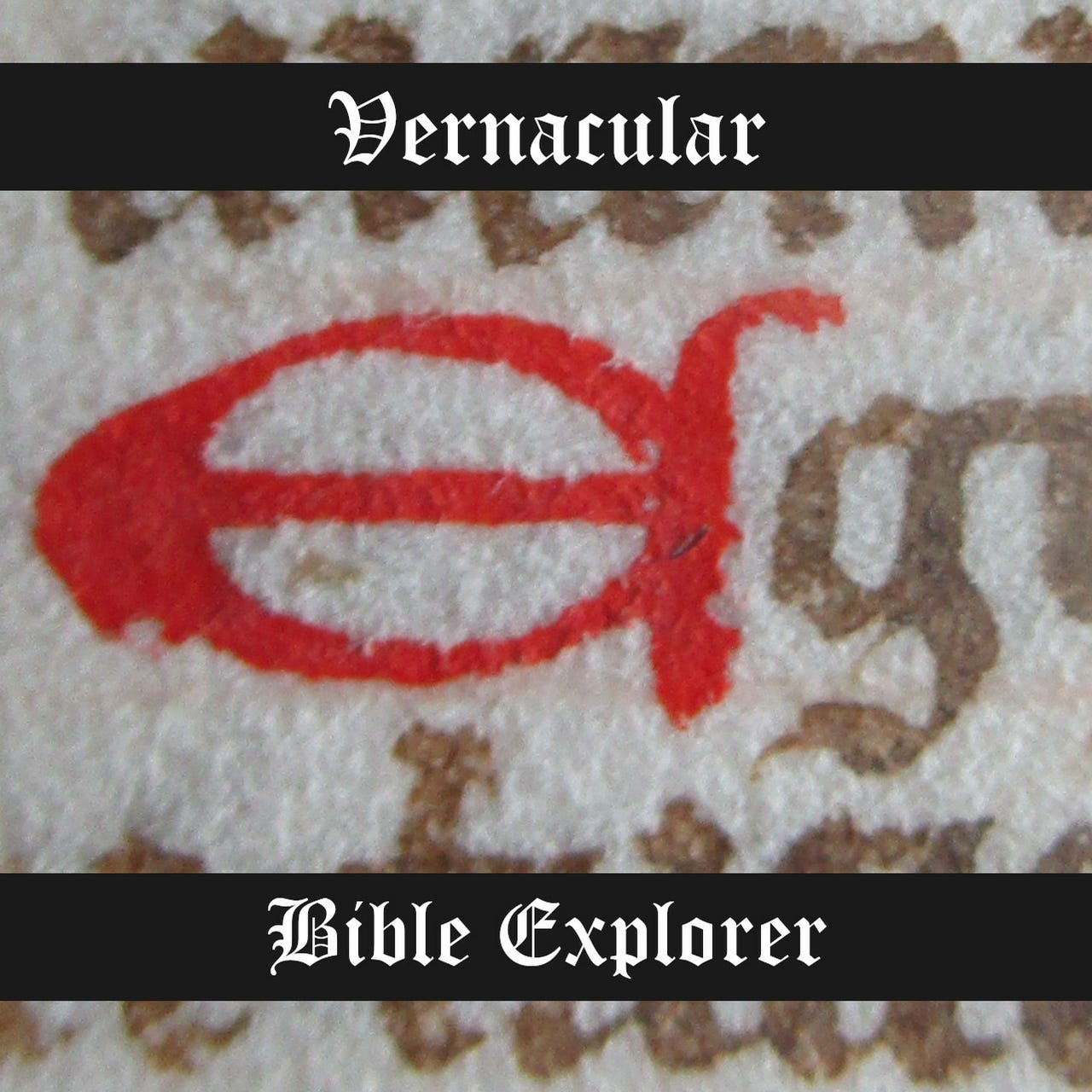 Vernacular Bible Explorer