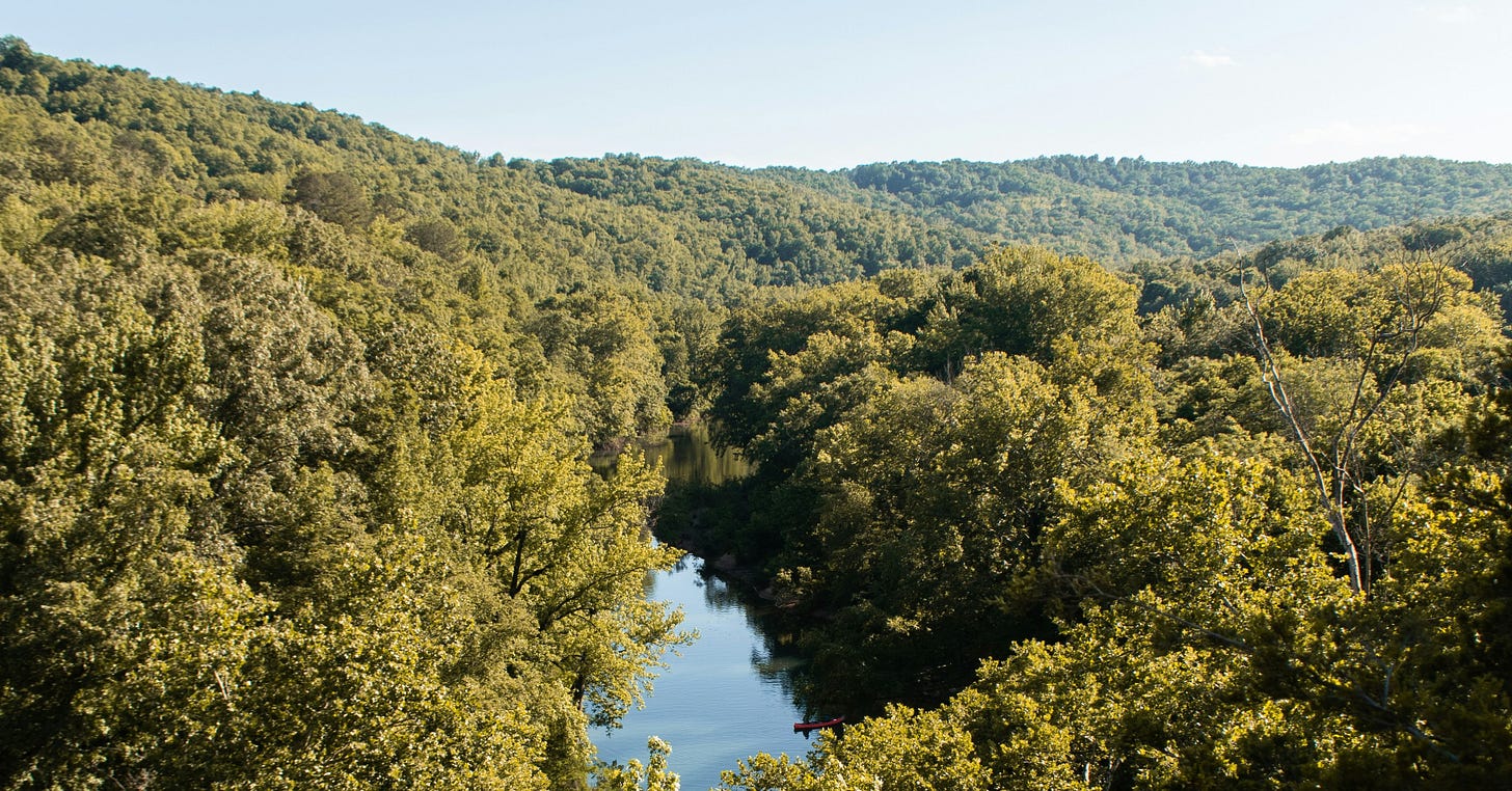 A serene river winding through dense green forests and rolling hills, capturing a peaceful, tree-filled landscape under bright daylight.