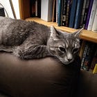 Georgians Forgot To Fire Fani Willis In Local Election, Is That Legal, Even?