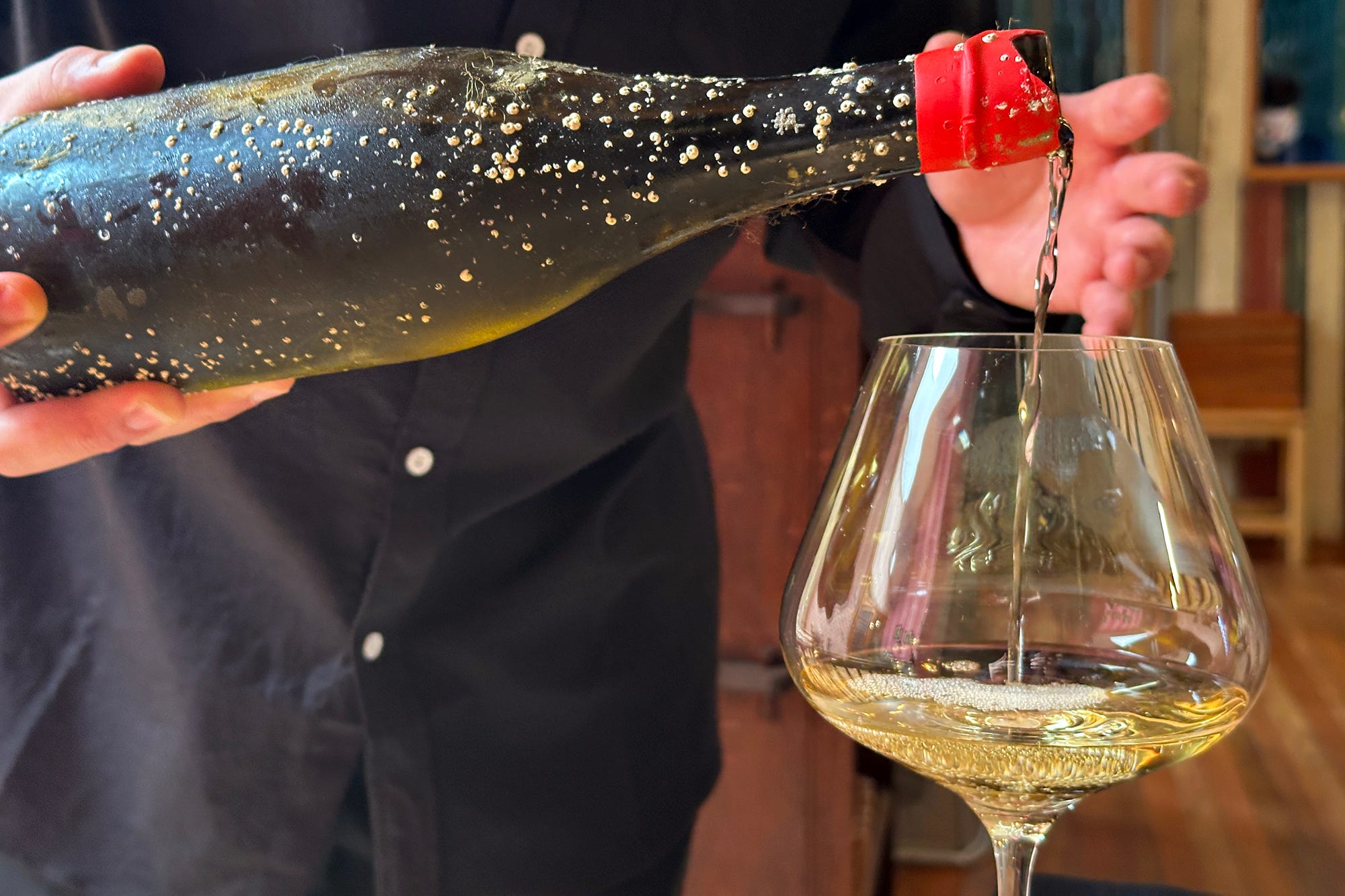 newworlder.substack.com - Nicholas Gill - Tasting Notes: Chilean Wines