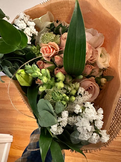 Beautiful plants we were sent after Bizzy died.
