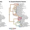Primatology.net