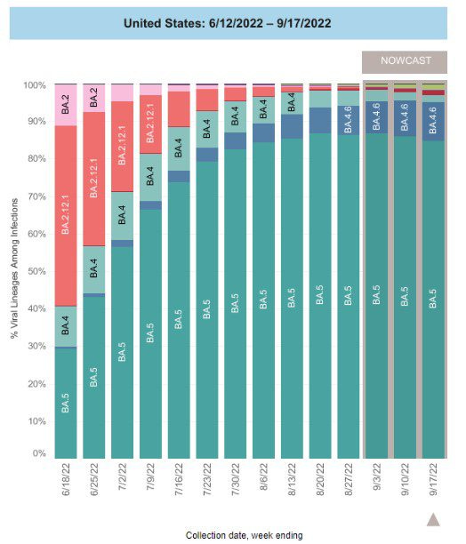 A bar chart shows data for the weeks of 6/18/2022 through 9/17/2022 with levels for each viral lineage shown vertically. In mid-June, BA.2.12.1 was the dominant lineage, with smaller amounts of BA.5, BA.4, and BA.2 circulating. As time went on, BA.5 quickly grew and BA.2.12.1 and BA.2 began to shrink, with BA.4 remaining stable at around 10 percent of viral lineages. By early July, BA.5 had become the dominant variant. As of 9/17/2022, BA.5 makes up the vast majority of cases at 84.8 percent, followed by BA.4.6 at 10.3 percent. In the past two weeks, it appears BA.5 is slowly declining while BA.4.6 slightly increases. 