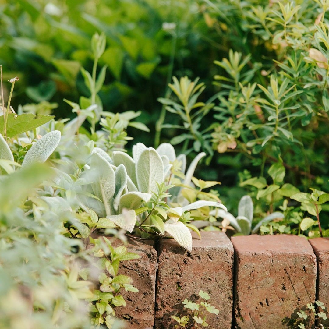 a cat sitting on top of a brick wall in a garden a cat sitting on top of a brick wall in a garden