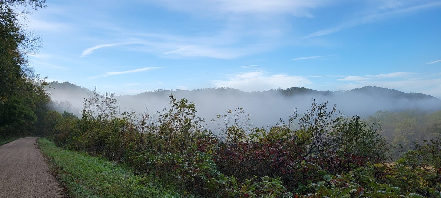Fog is rising from a valley to obscure a ridge on a sunny day. A gravel road is along the left, headed towards the fog and ridge. In the foreground are a variety of shrubs.