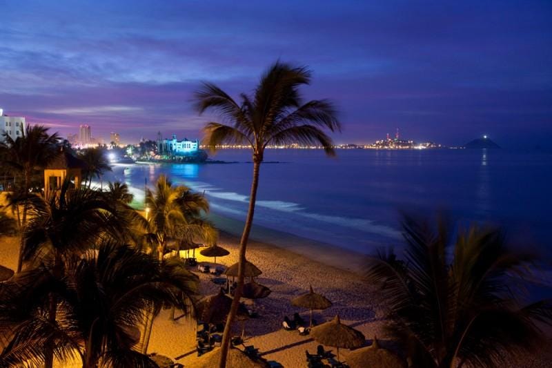 A beach with palm trees and a body of water in the background

Description automatically generated with medium confidence