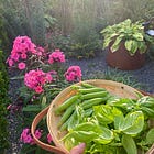 The ethos of a gardener