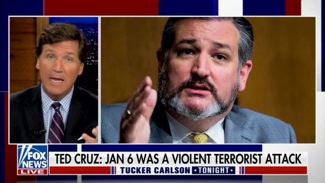 Media - The Daily Beast