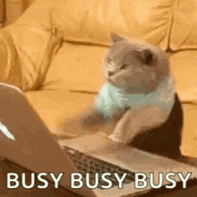 Busy Busy GIFs | Tenor