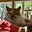 Martha Wilson's avatar