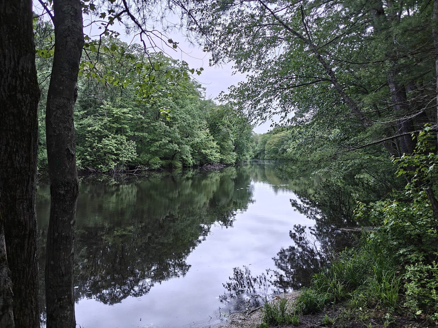 A Trek Along the Cocheco Railroad