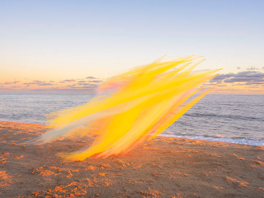 Collaborative Nature 002, Tiburon, California, 2023 - Thomas Jackson