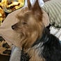 BobbyKiester2's avatar
