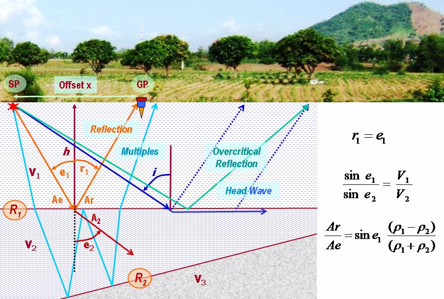 Seismic Reflection Principal Seismic Reflection Principal