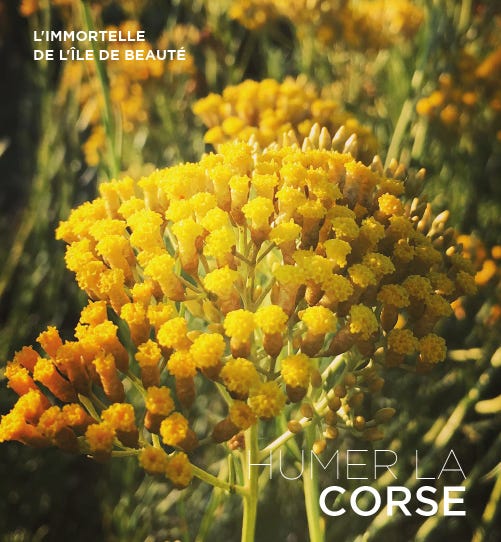 Contenu de l’article