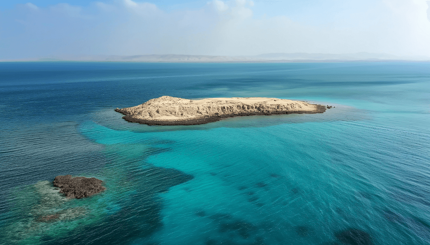 رحلة جزيرة الليث | باس تيكيتس