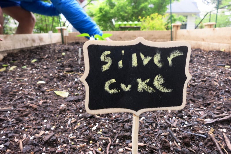 silver cuke