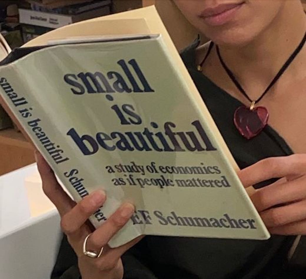 Book Review: Small is Beautiful. Did this book in 1973 predict the ...