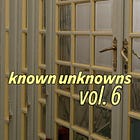 Known Unknowns #6 - Amazing Underrated Musicians in Endless Supply