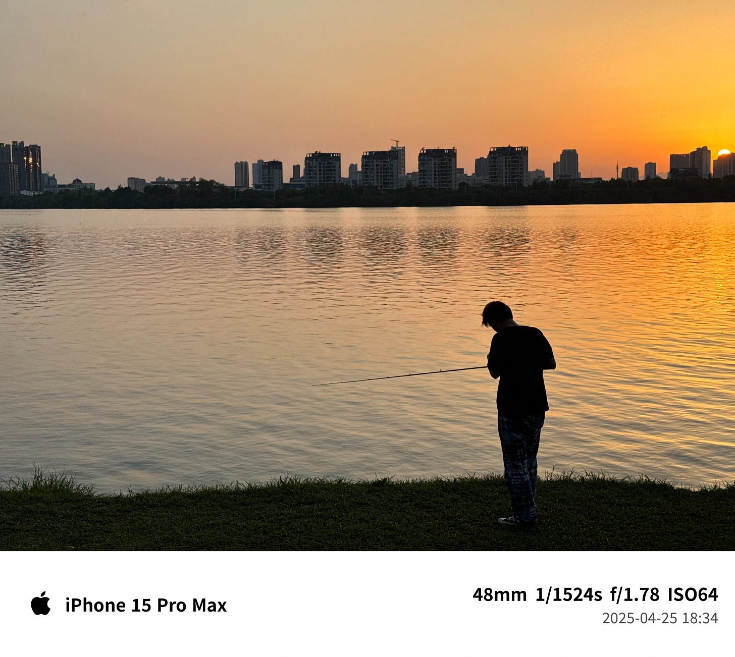 未曾踏足的小径 - 第2张图片