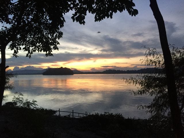The sun setting over the brahmaputra, spotted between trees.