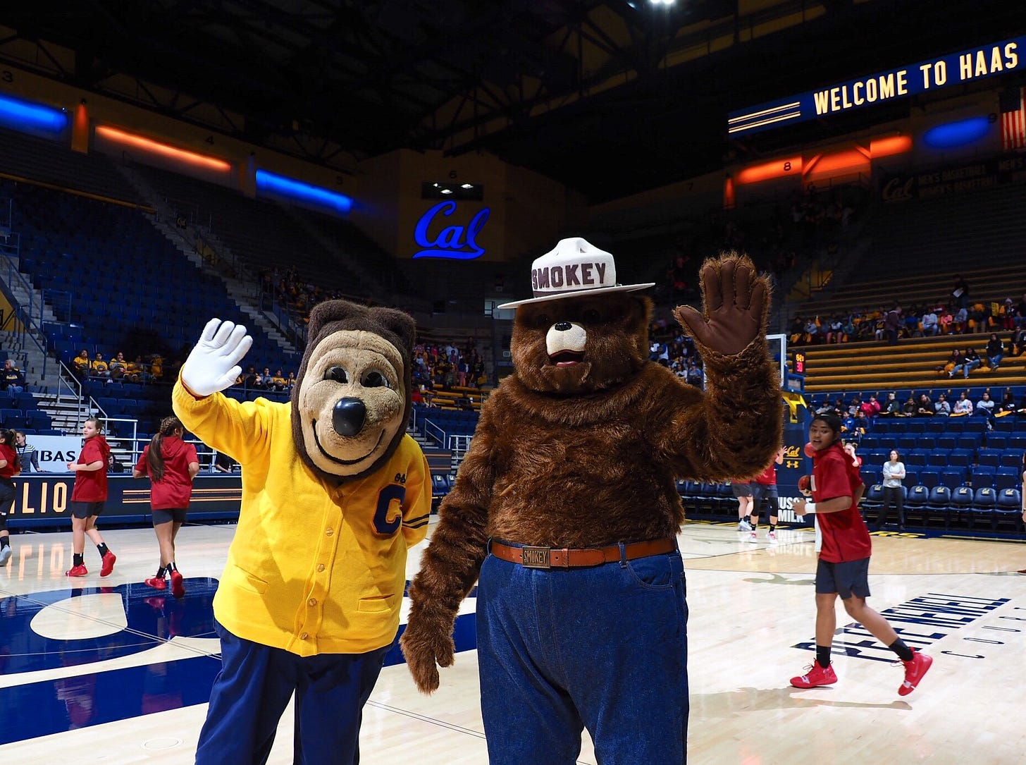 No photo description available. No photo description available.