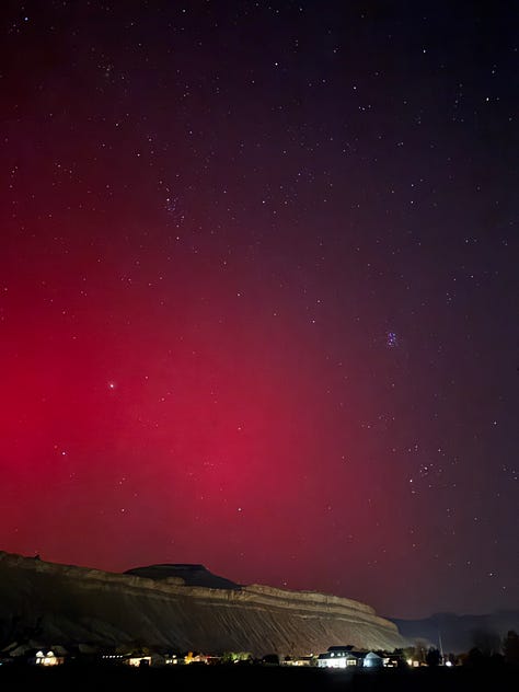 photos of cats, the northern lights, my beautiful birthday cake