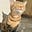 Thril's avatar