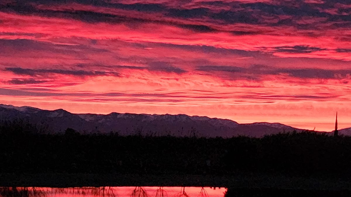 cognitivecarbon.substack.com