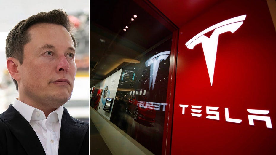Elon Musk puts Tesla stock sales on pause | Fox Business