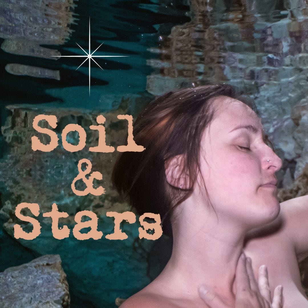 The Mercurial Missive (Soil & Stars Newsletter) logo