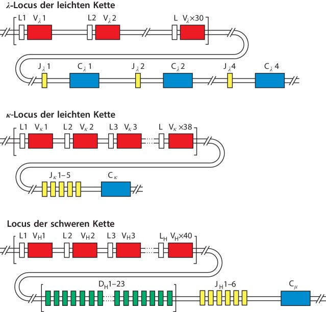 graphic file with name 978-3-662-56004-4_5_Fig5_HTML.jpg