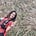 Shivani Sarwal's avatar