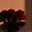 بـراءةّ's avatar