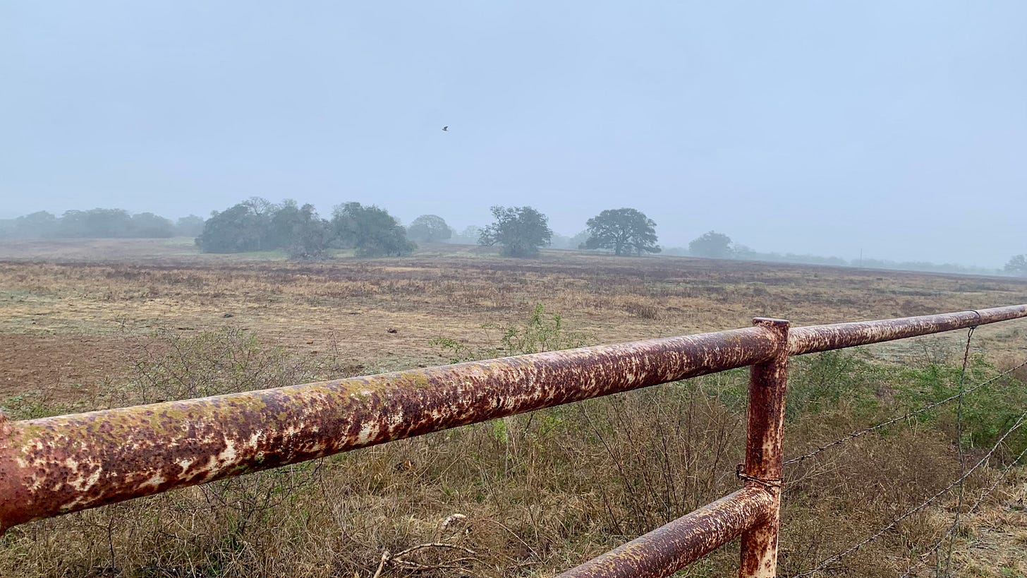 Image of a field and fence covered in fog and midst.