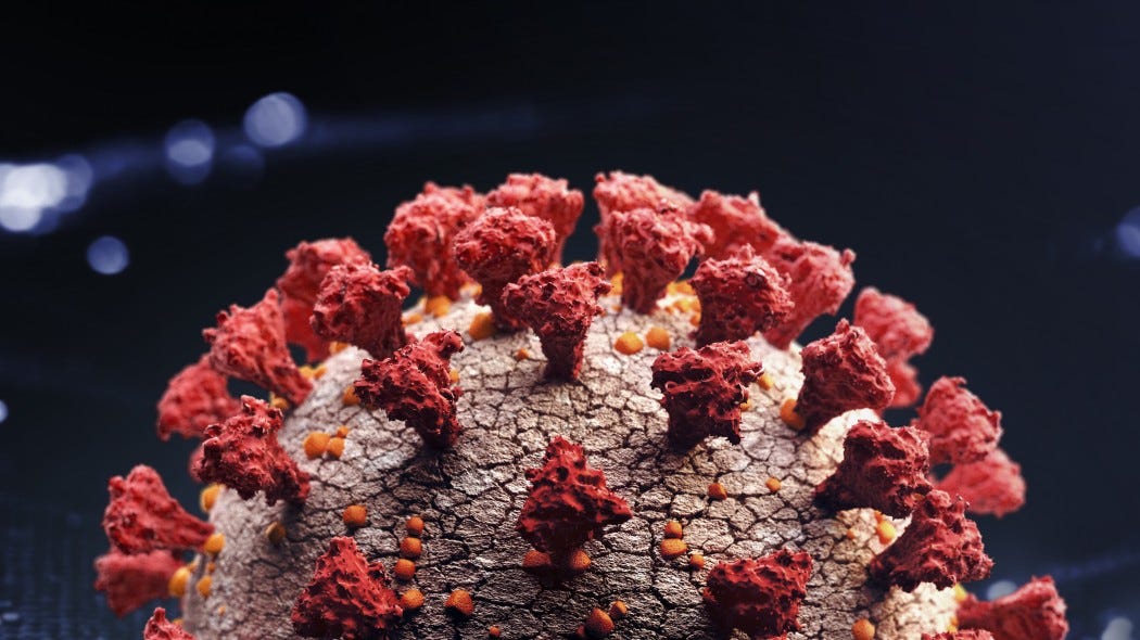 Coronavirus, arriva il primo modello completo e open source della ... Coronavirus, arriva il primo modello completo e open source della ...