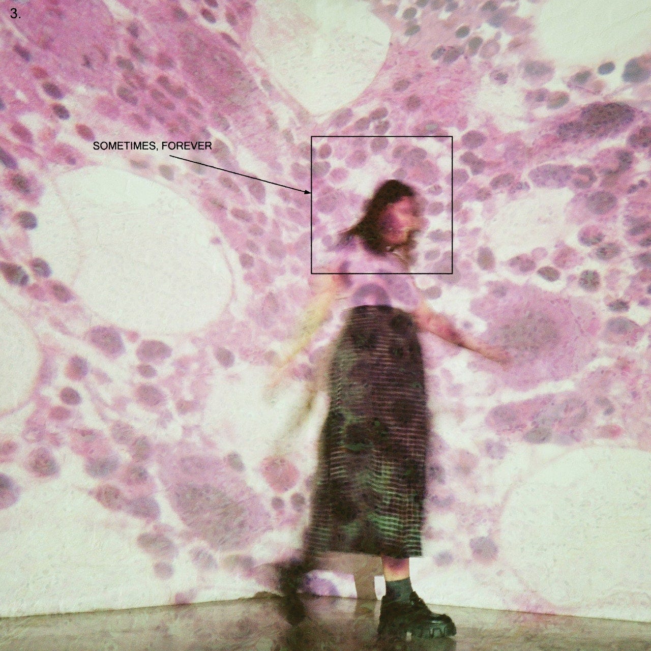 Soccer Mommy: Sometimes, Forever Album Review | Pitchfork