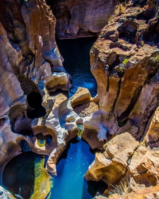 May be an image of nature