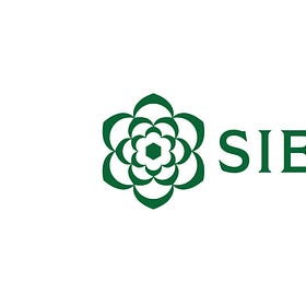 Sierra’s strong growth signals a new era of maturity in Conversational AI