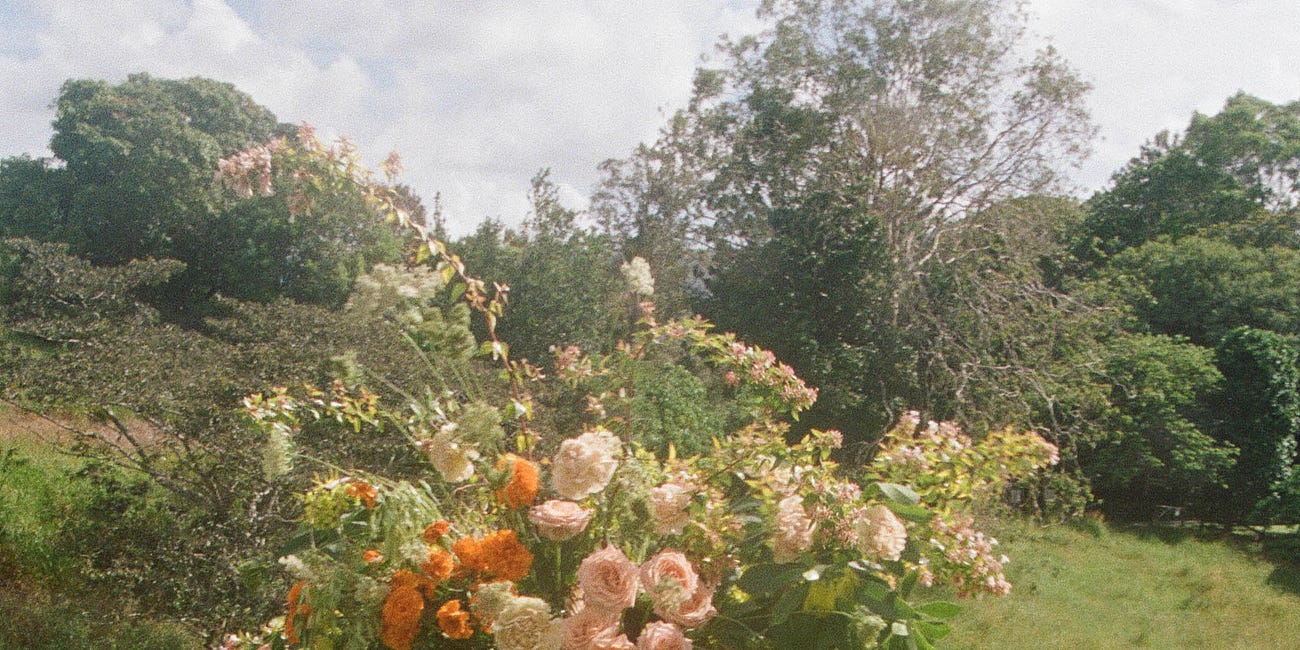 Objects of archival, Catalogue 001