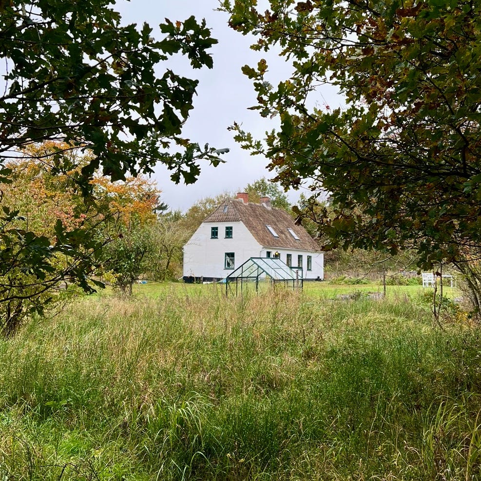 Home by the Beech Trees