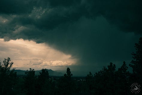 Fuji photographs of life in Montana by Tyler Knott Gregson 