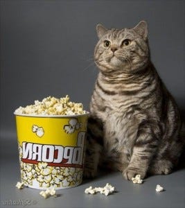 cinema popcorn 1 cinema popcorn 1