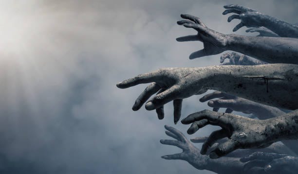 zombie hand hålla gamla trä ombord, tomt utrymme för text eller rita - doomsday bildbanksfoton och bilder
