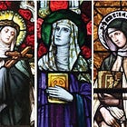 Argument from Women II: The So-Called "Problem of Women in Ministry"