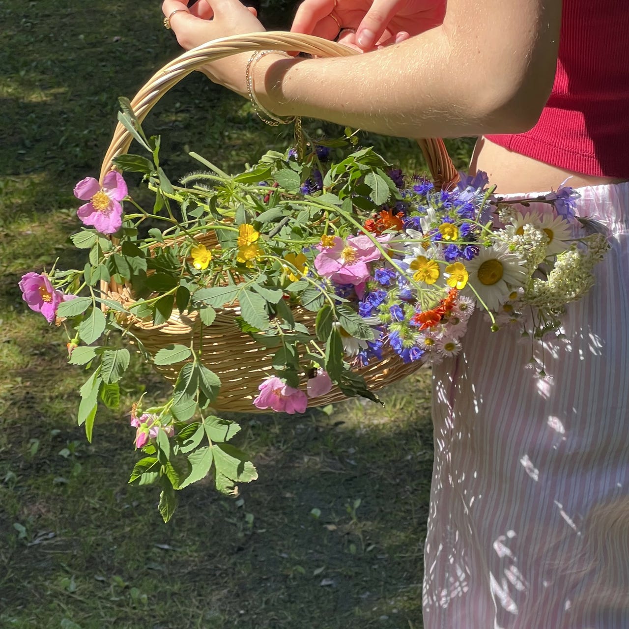 Marianne's voice memos